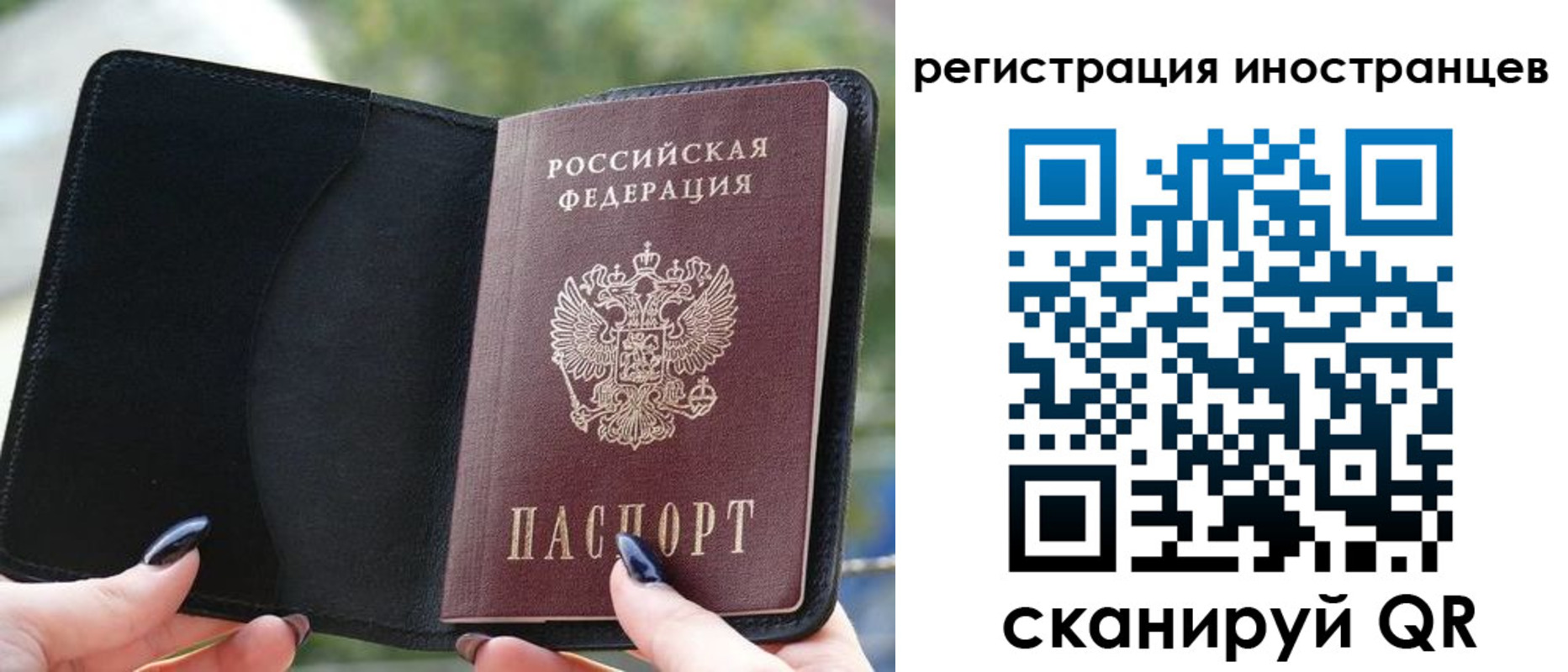найти адрес прописки в Завитинске